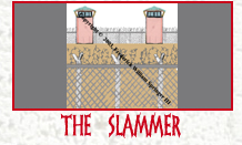 The Slammer