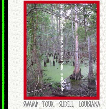 Swamp Tour, Slidell, Louisiana